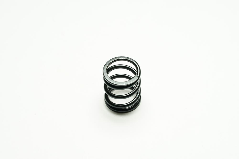 SALVA SERVO SPRING